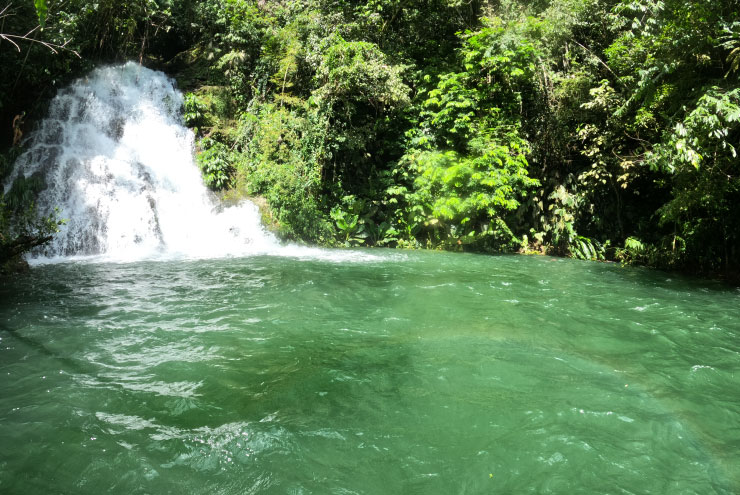Cascada-El-Bosque-1